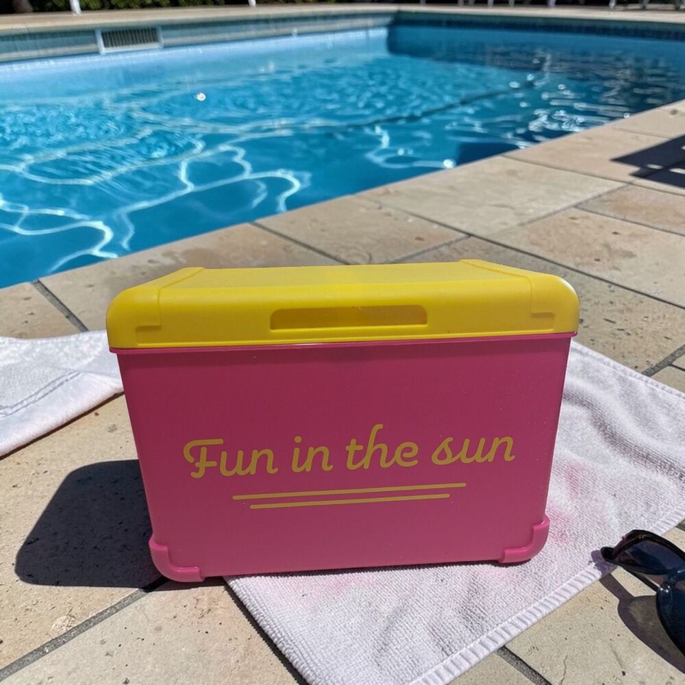 Fun in the Sun Storage Box Pink Yellow Summer Snack Box Organizer